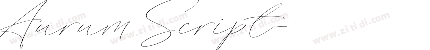 Aurum Script字体转换